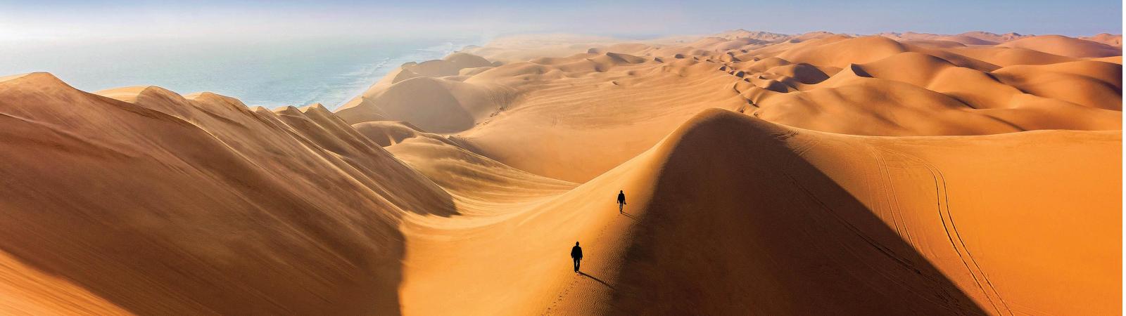 Climbing the sand dunes of Sossusvlei |  <i>Peter Walton</i>