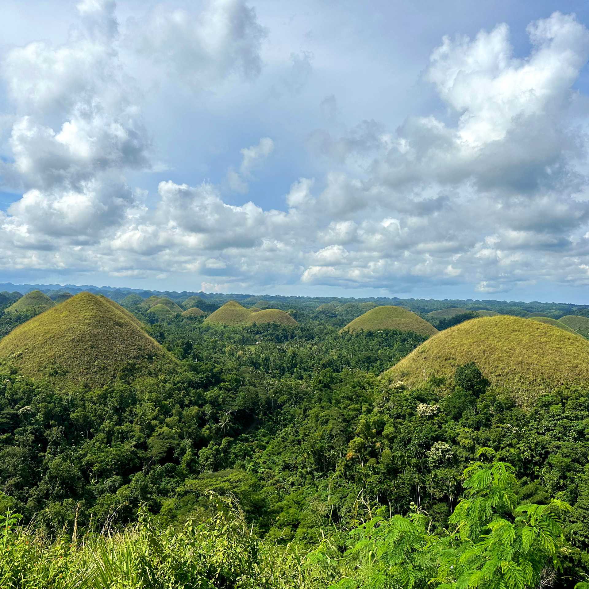 The 'Chocolate Hills' of Bohol | Rachel Imber