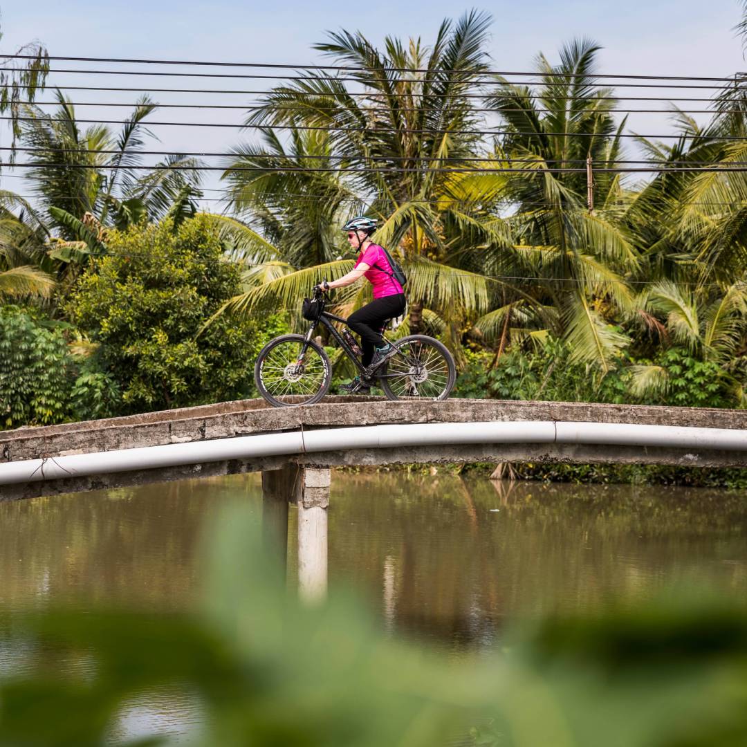 Beautiful colour as we cycle the Mekong Delta | Lachlan Gardiner