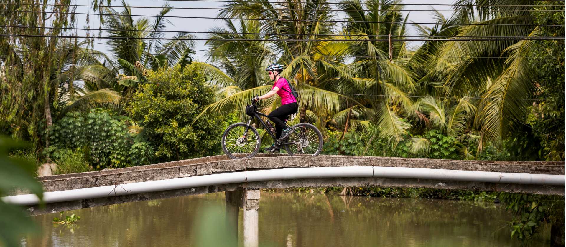 Beautiful colour as we cycle the Mekong Delta | Lachlan Gardiner