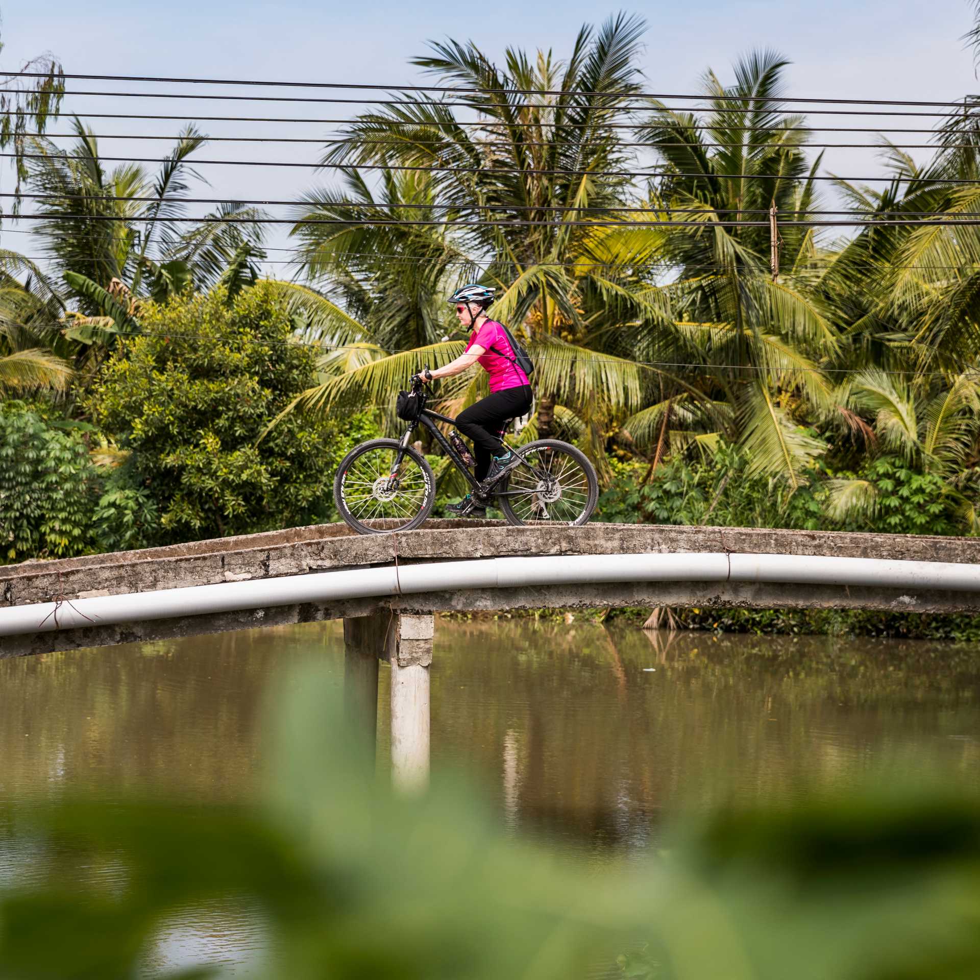 Beautiful colour as we cycle the Mekong Delta | Lachlan Gardiner