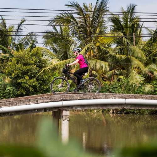 Beautiful colour as we cycle the Mekong Delta