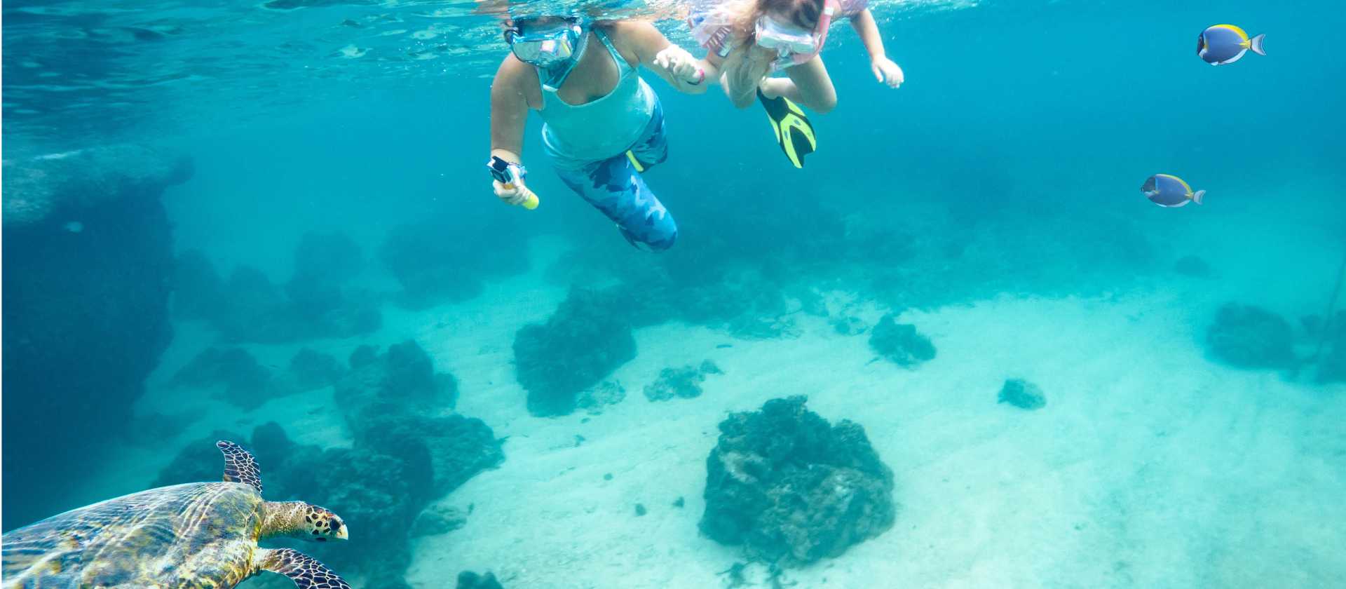 Snorkelling in Fiji