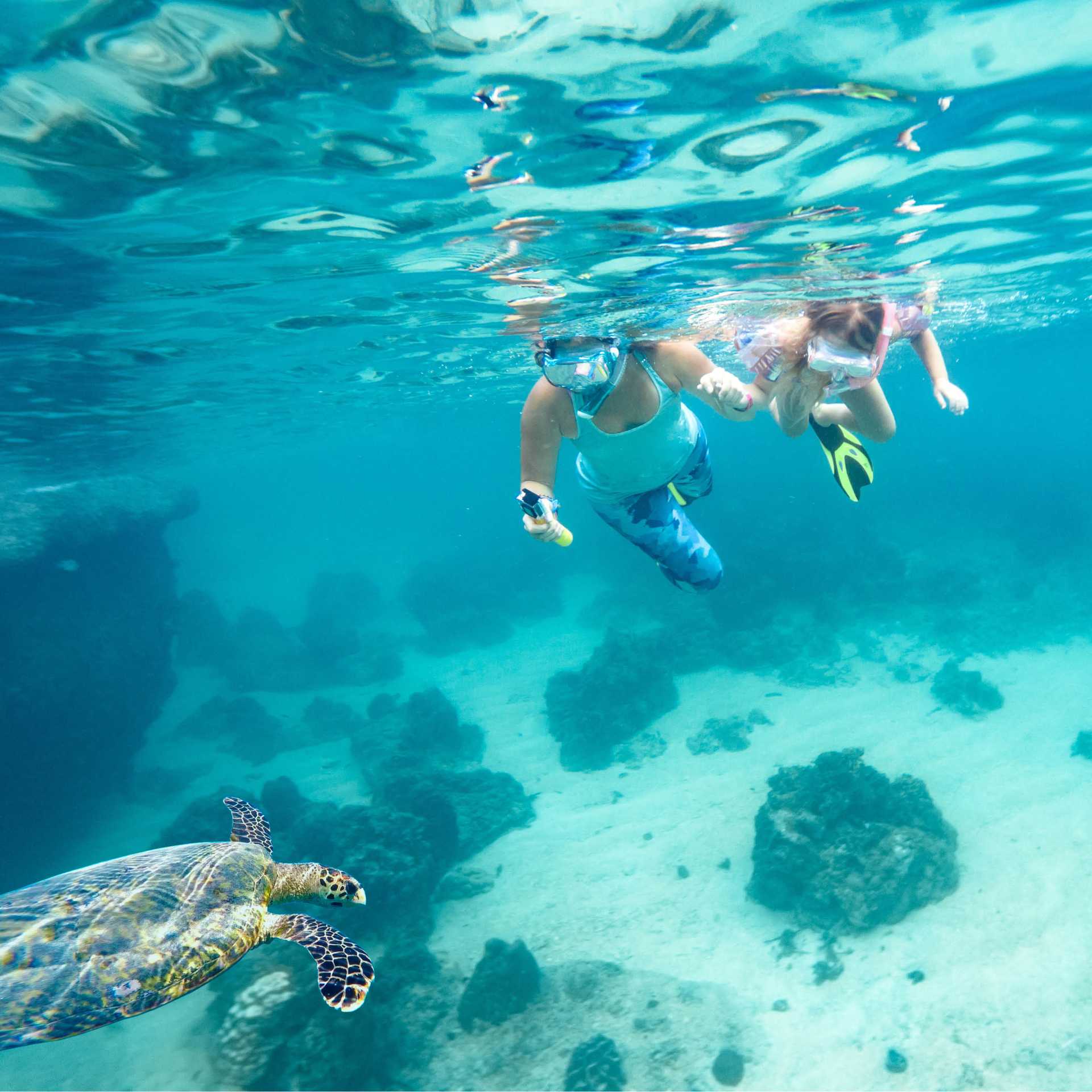 Snorkelling in Fiji