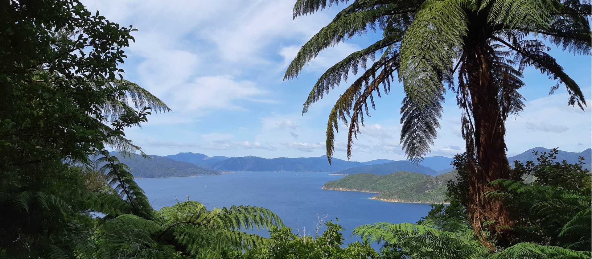 Stunning views across the bay | Kaye Wilson