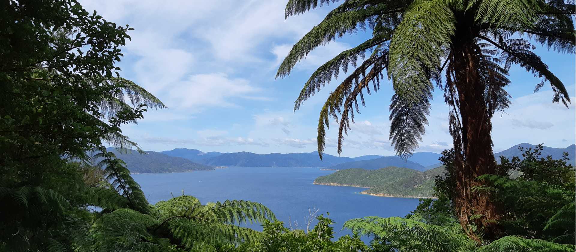 Stunning views across the bay | Kaye Wilson