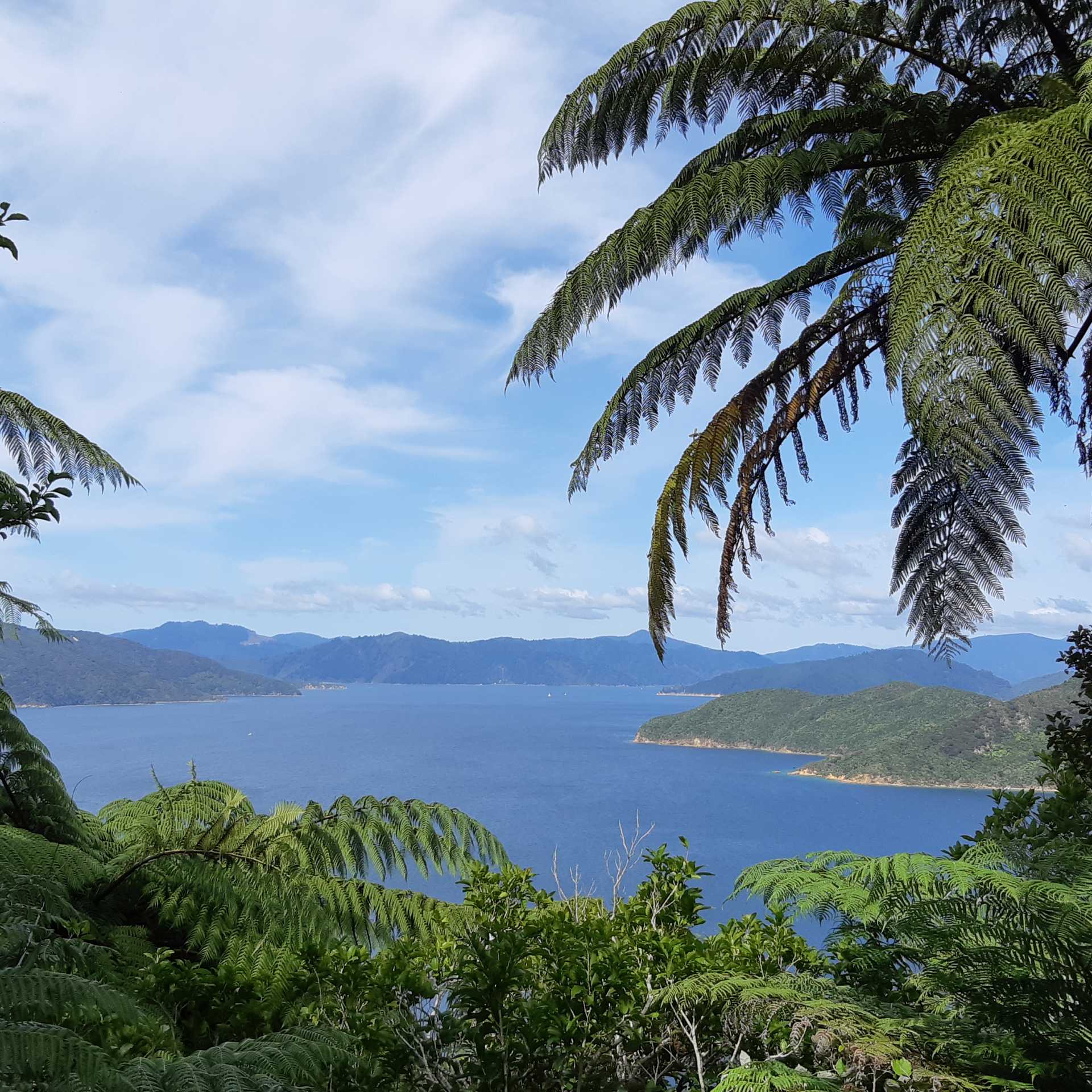 Stunning views across the bay | Kaye Wilson