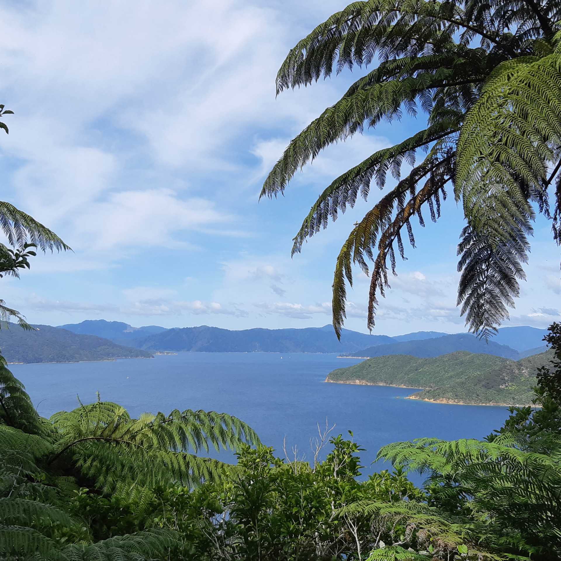 Stunning views across the bay | Kaye Wilson