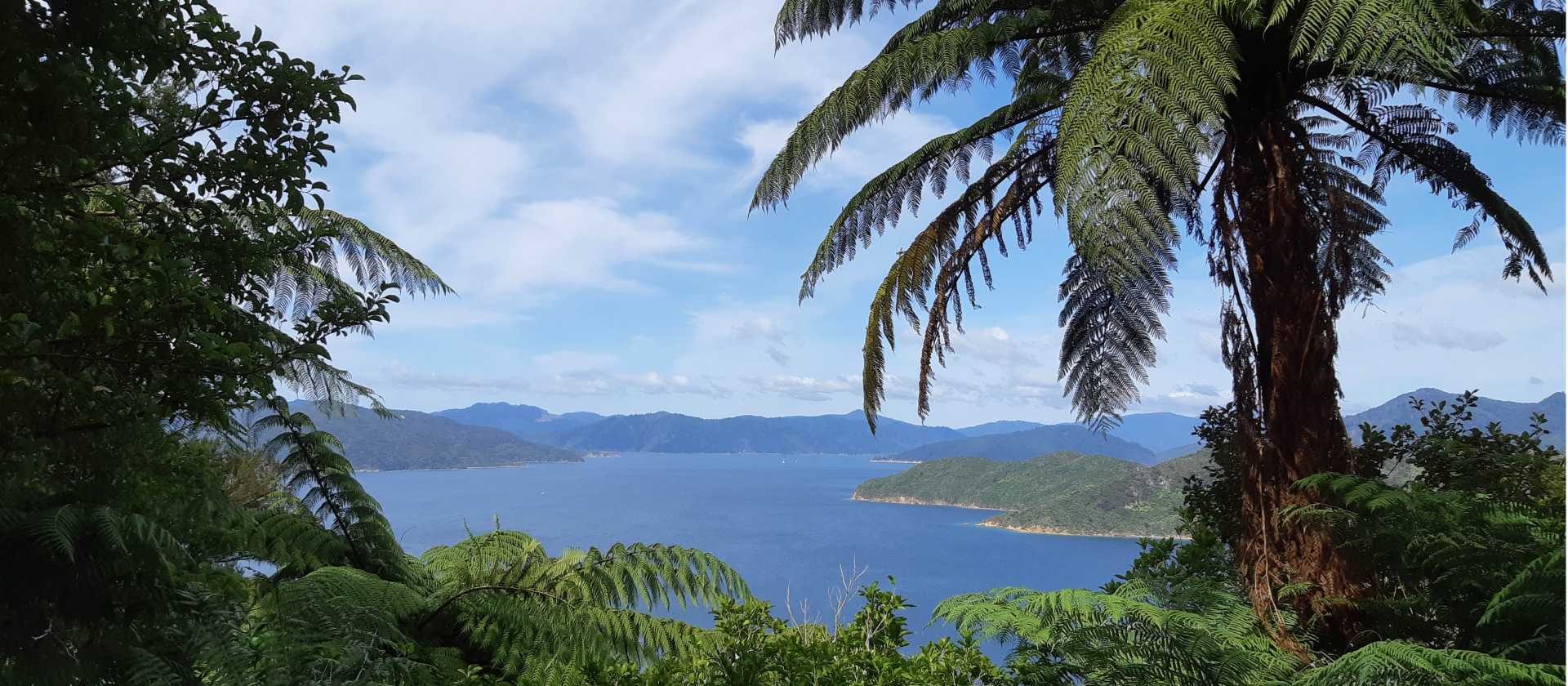 Stunning views across the bay | Kaye Wilson