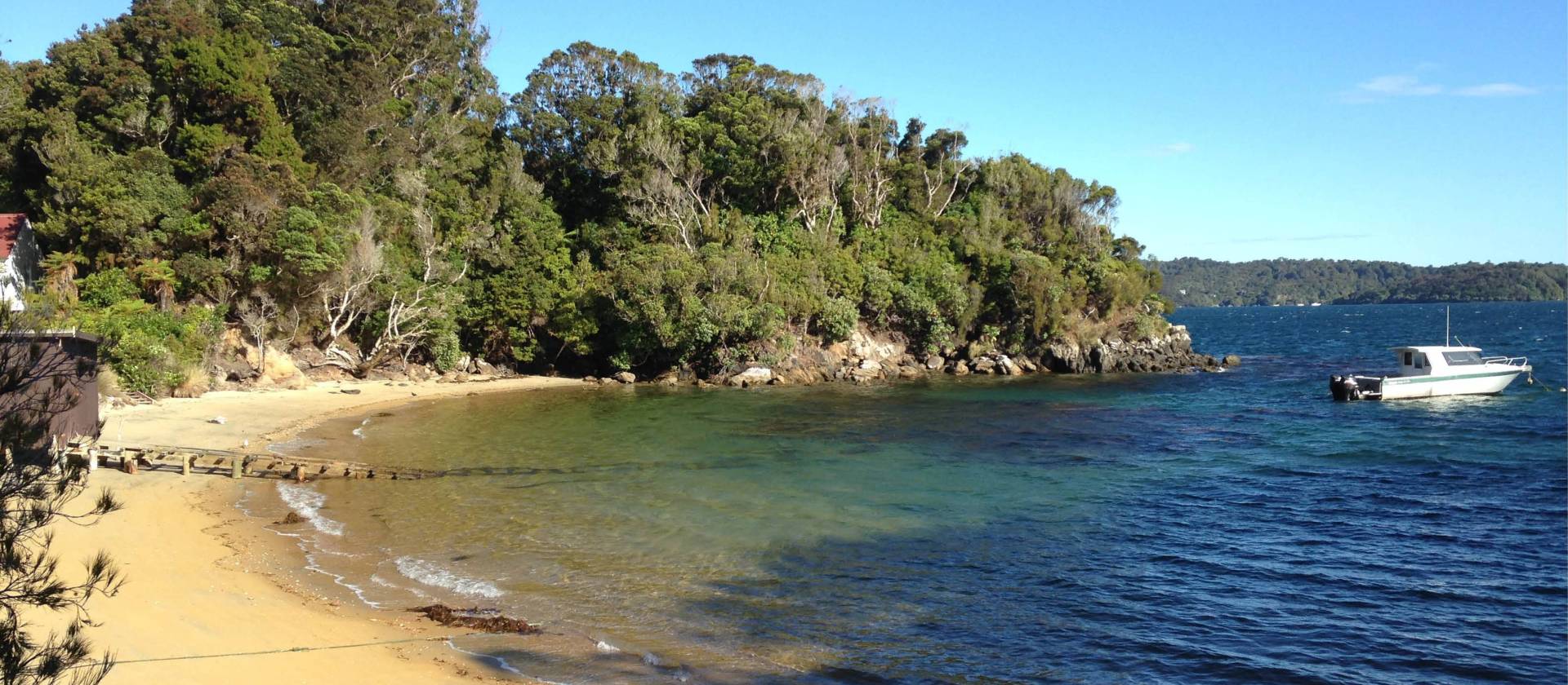Predator-free Ulva Island off Stewart Island | Janet Oldham