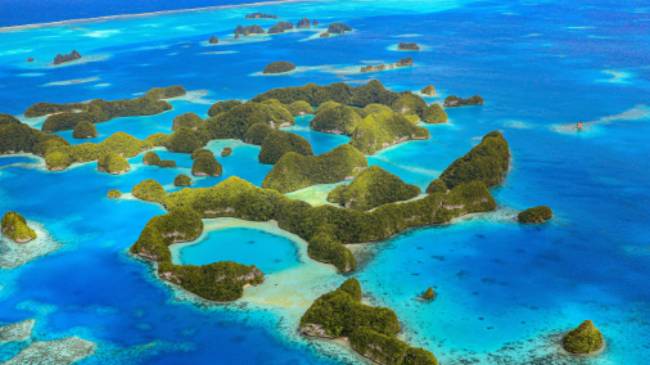 A myriad of colour awaits in Palau