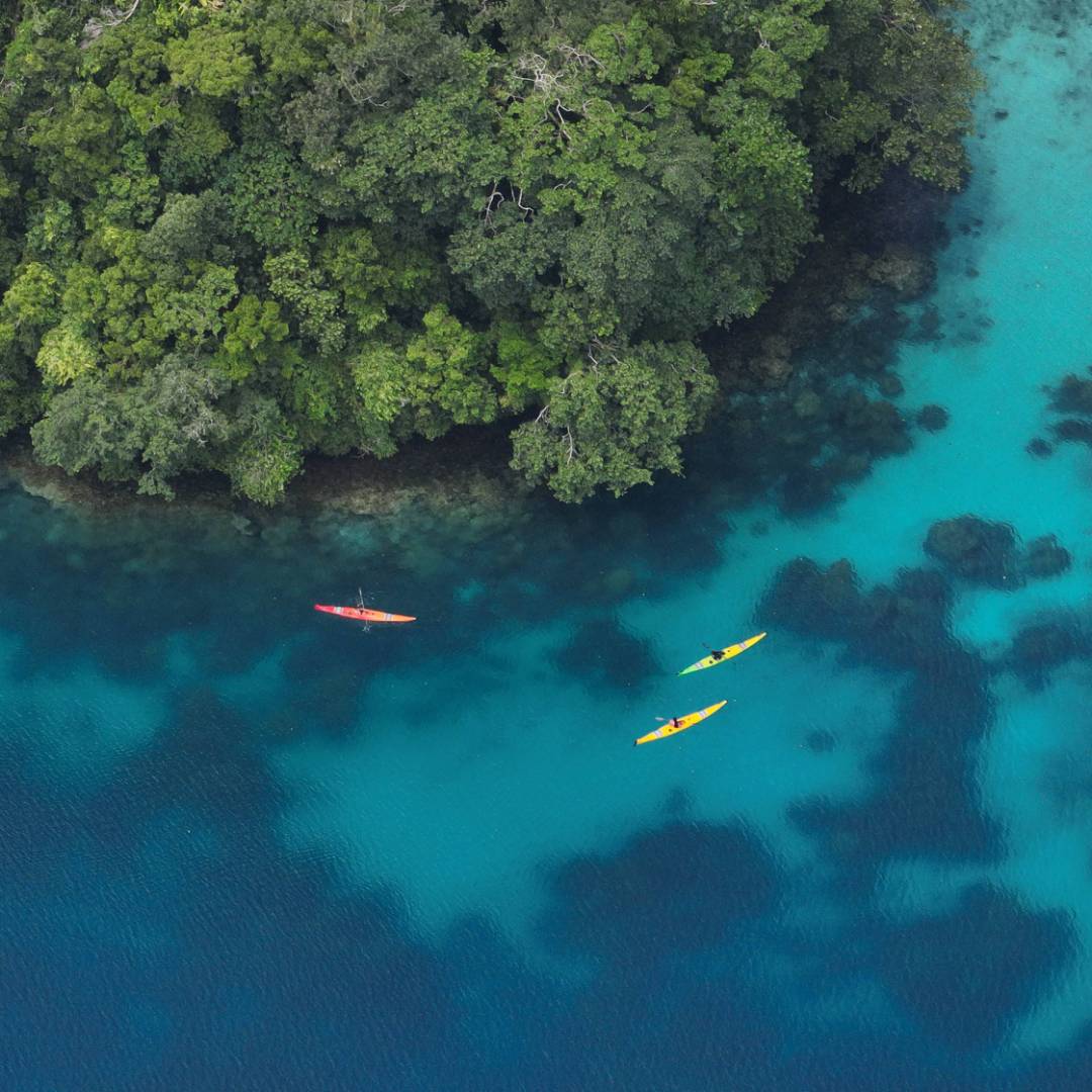 Explore Palau by kayak
