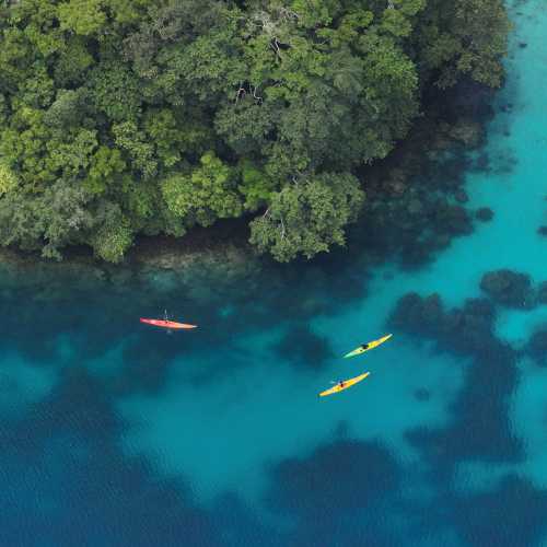 Explore Palau by kayak