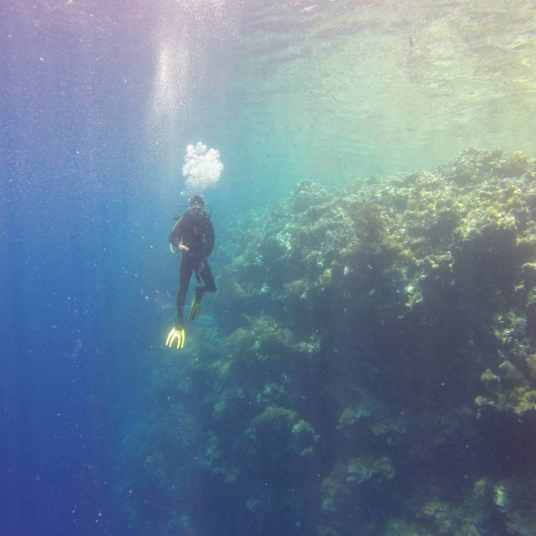 Diver in Palau | Arhnue Tan