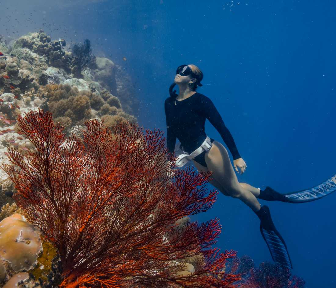 Encounter diverse marine corals on the many reefs of Palau's islands | Maddison Toddman
