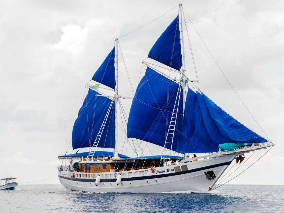 The Palau Siren |  Marc Stickler