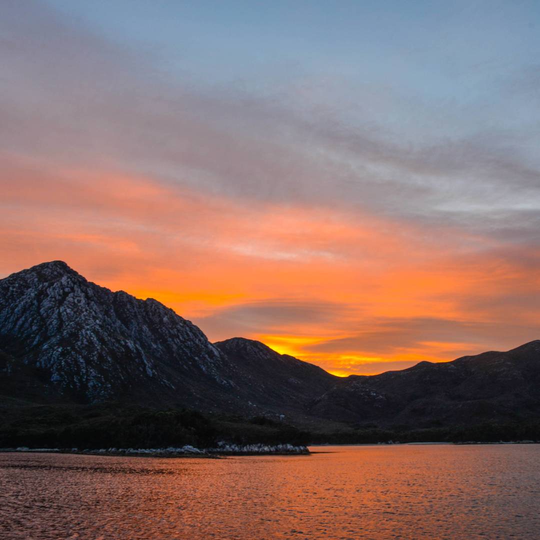 Bramble Cove Port Davey | Chris Crerar
