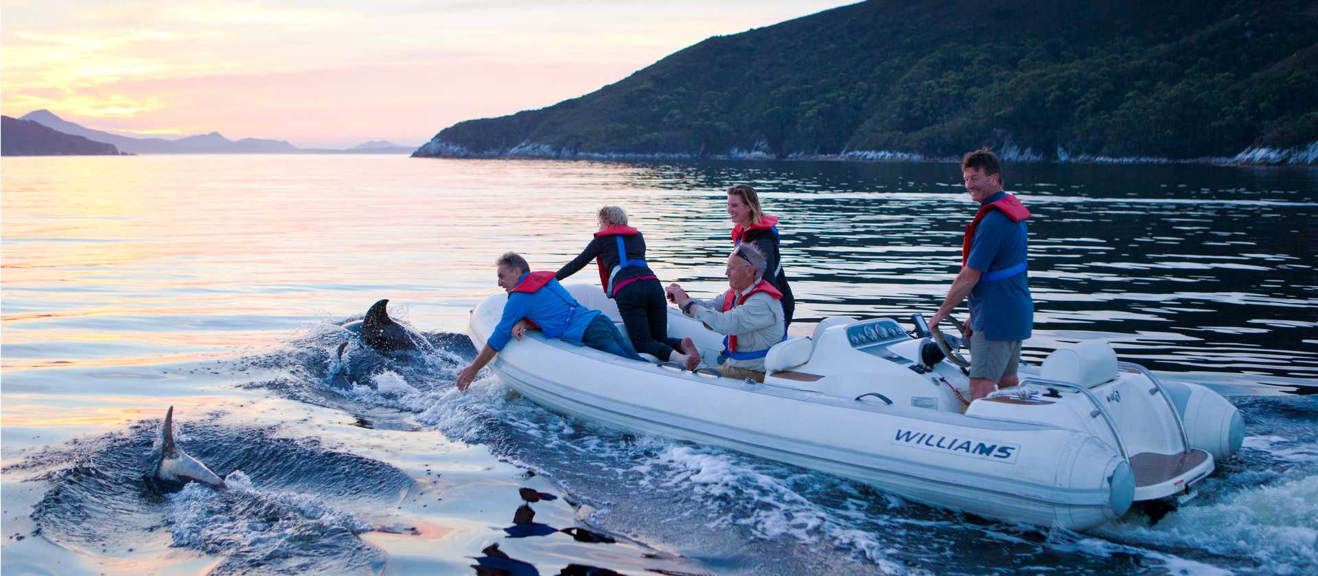 Guests in the tender are joined by dolphins at sunset | Mark Daffey