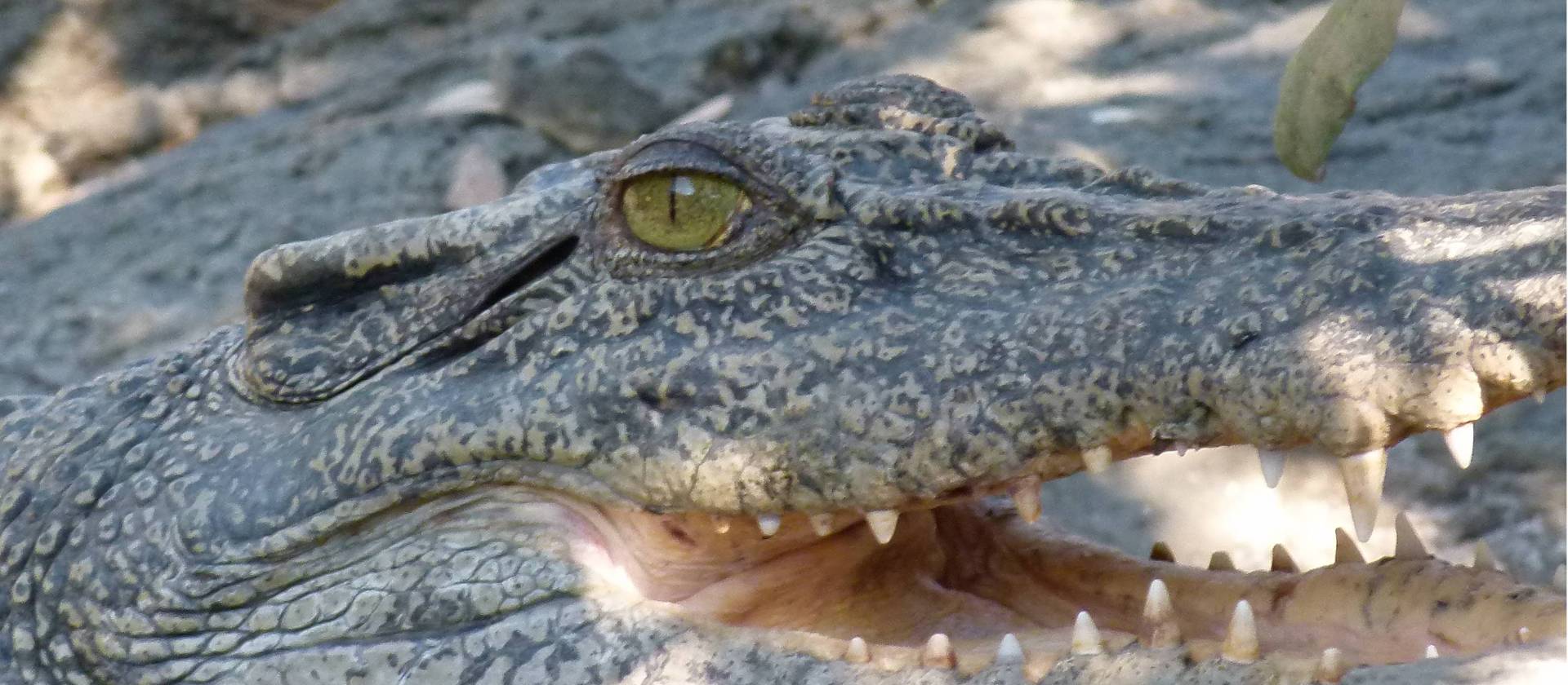 Exploring some of the remote corners of the Kimberley Coast | Steve Trudgeon