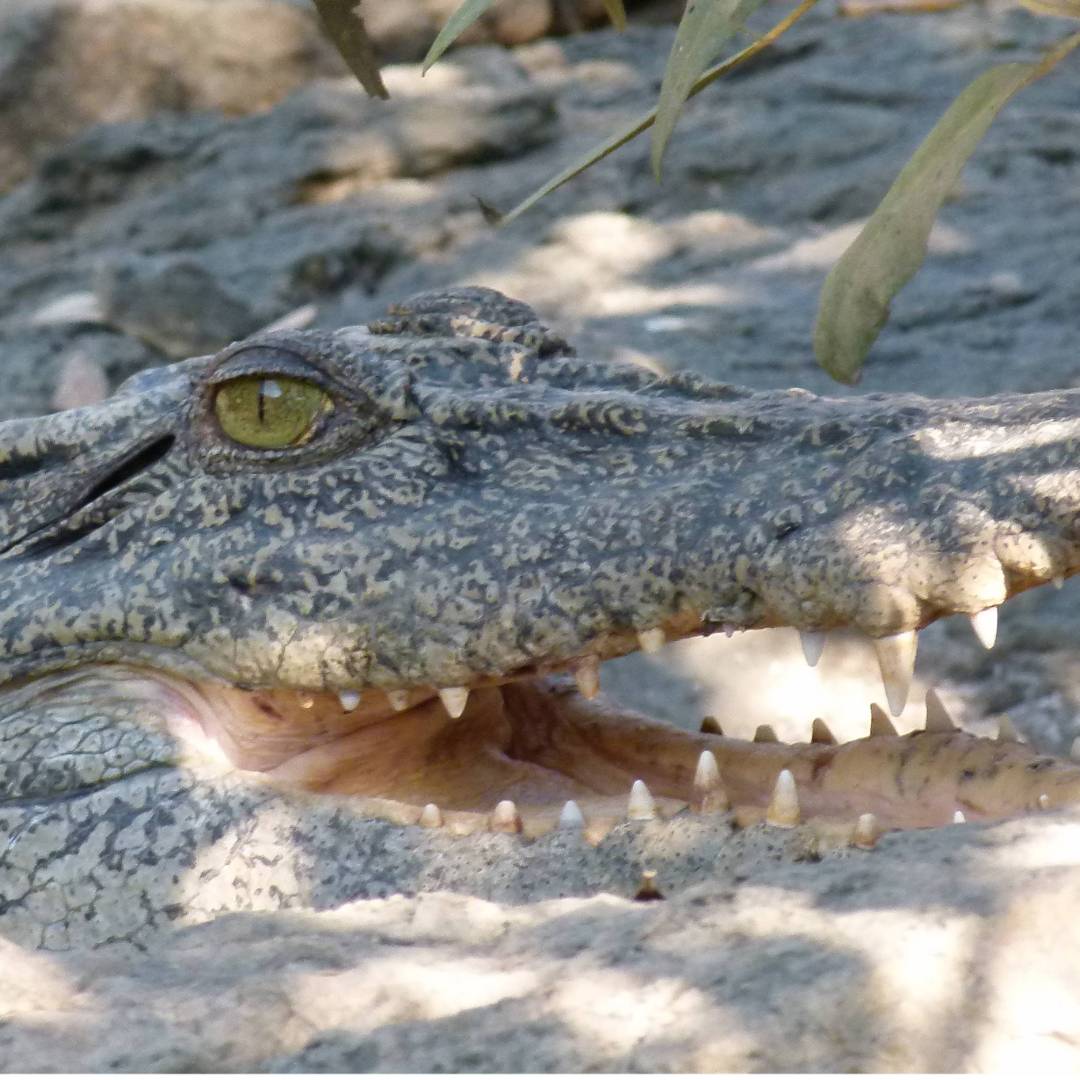 Exploring some of the remote corners of the Kimberley Coast | Steve Trudgeon