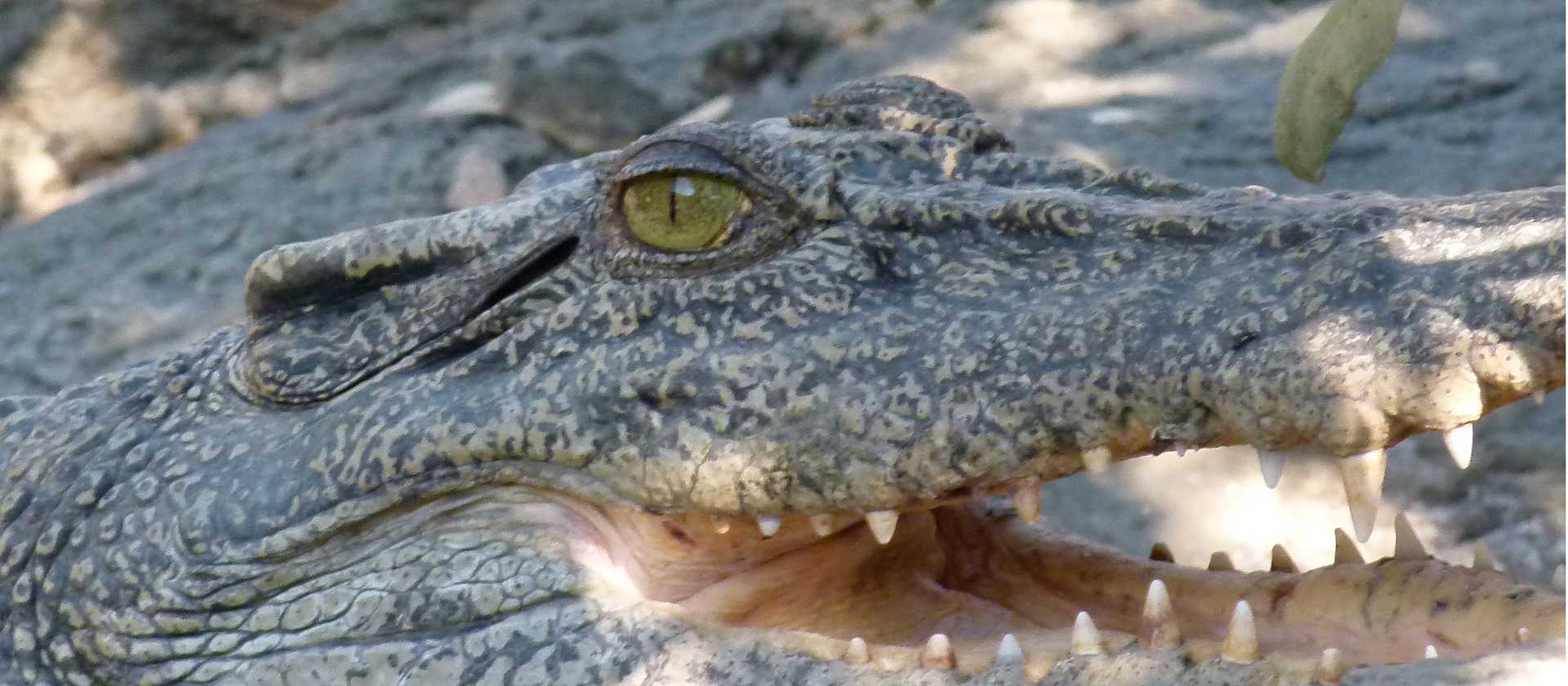 Exploring some of the remote corners of the Kimberley Coast | Steve Trudgeon