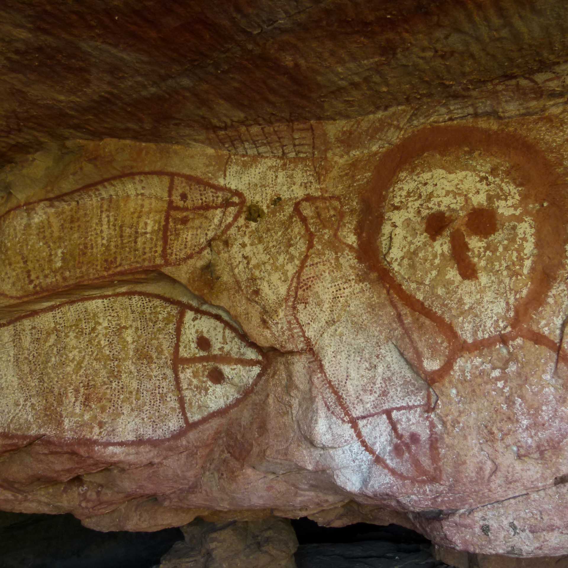 Exploring some of the remote corners of the Kimberley Coast | Steve Trudgeon