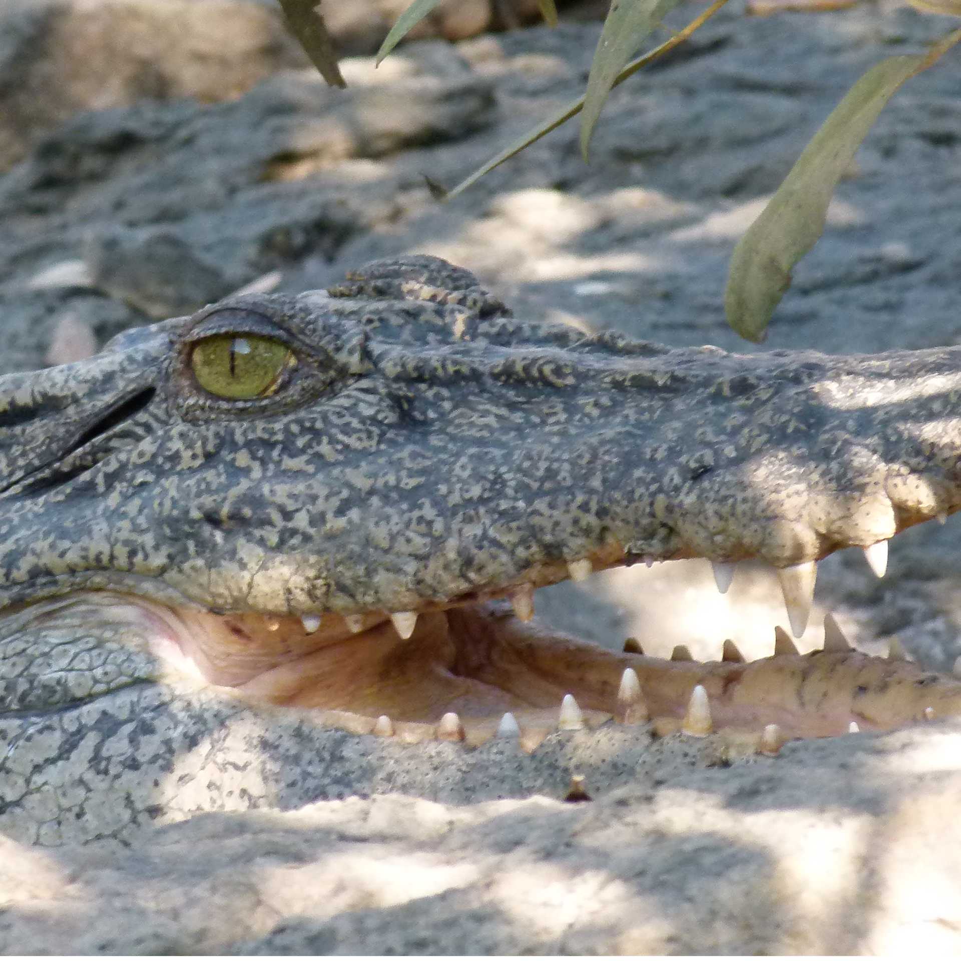 Exploring some of the remote corners of the Kimberley Coast | Steve Trudgeon