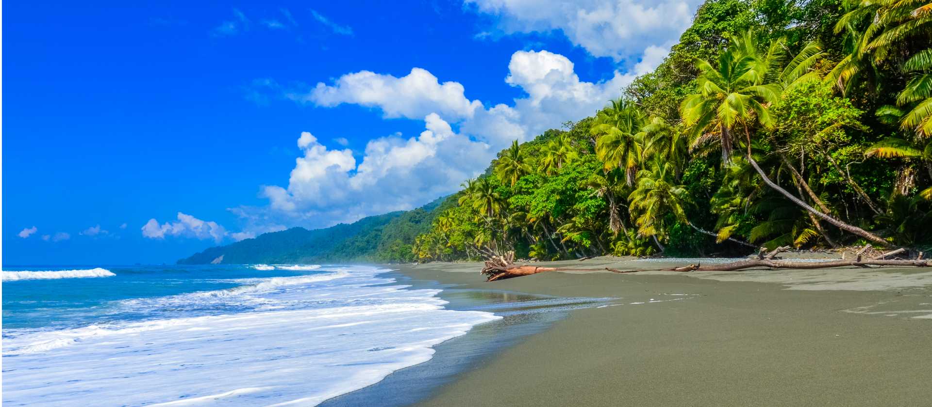 Untouched beaches of Golfo Dulce