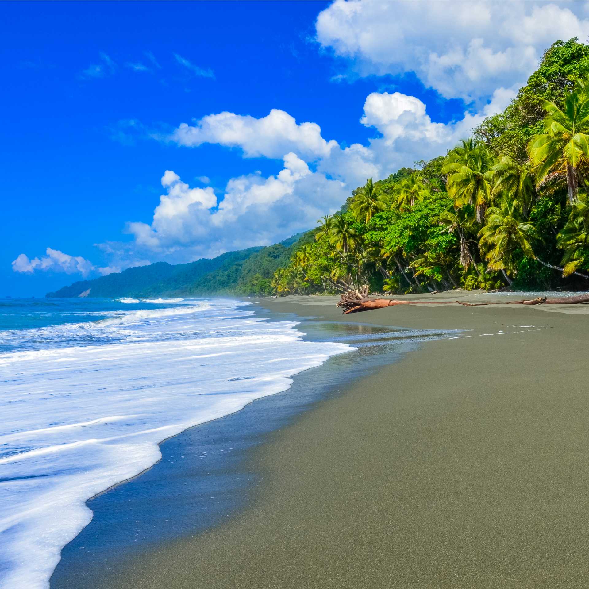 Untouched beaches of Golfo Dulce