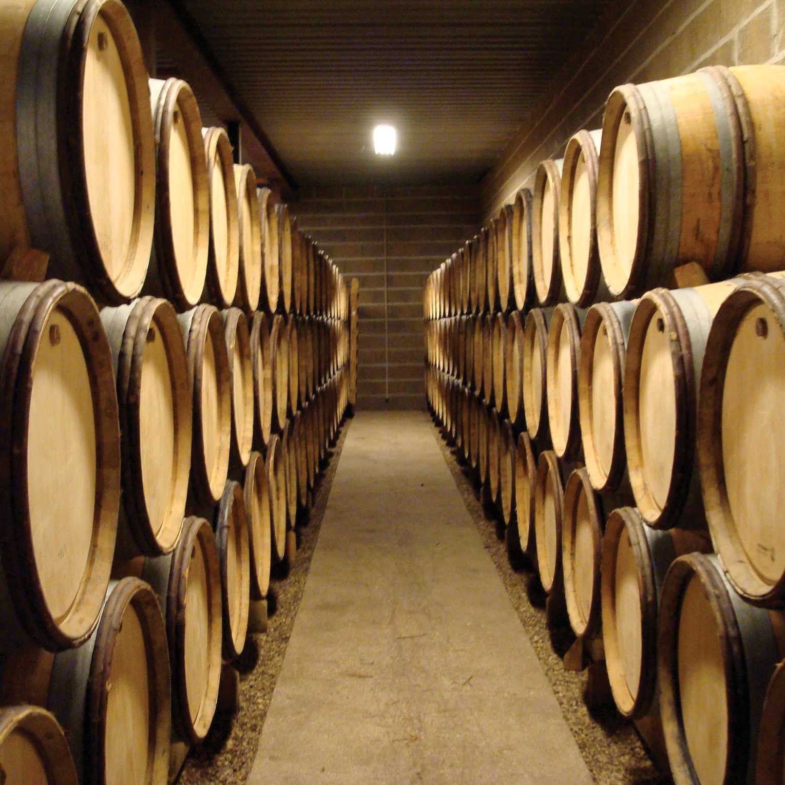 Burgundy is renowned for the regions excellent wine | Gabriella Dean