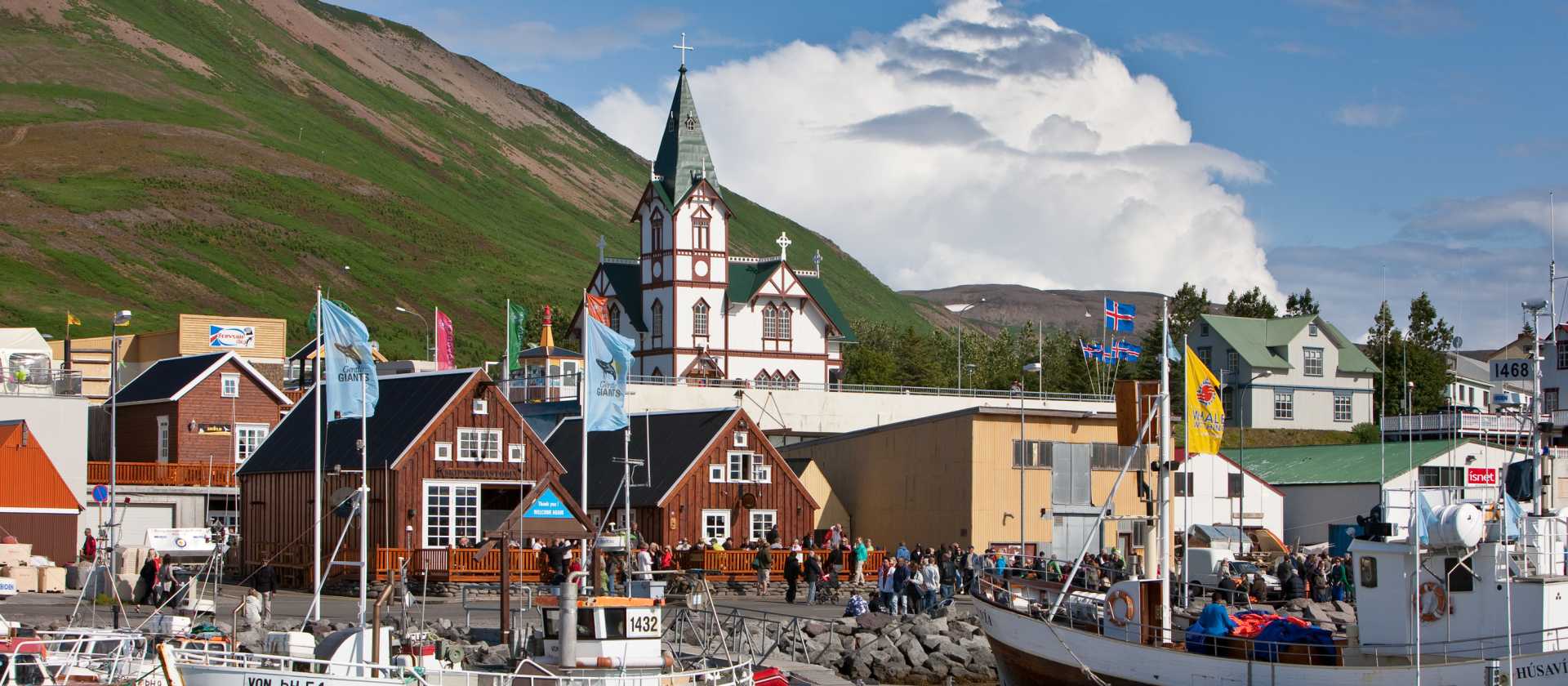 The village of Husavik on the north coast of Iceland