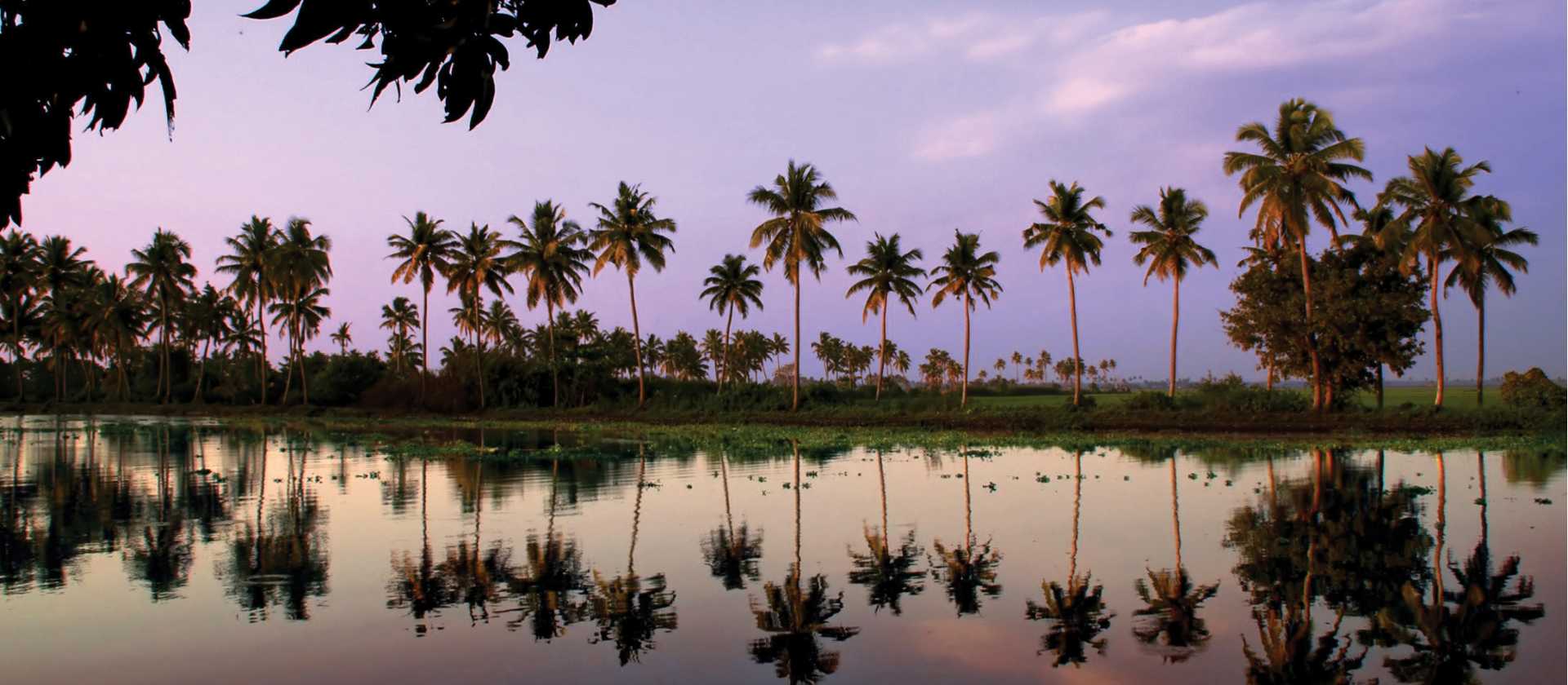 The Keralan backwaters of Southern India | David Lazar