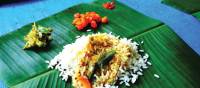 Beautiful Southern Indian cuisine | Sue Badyari