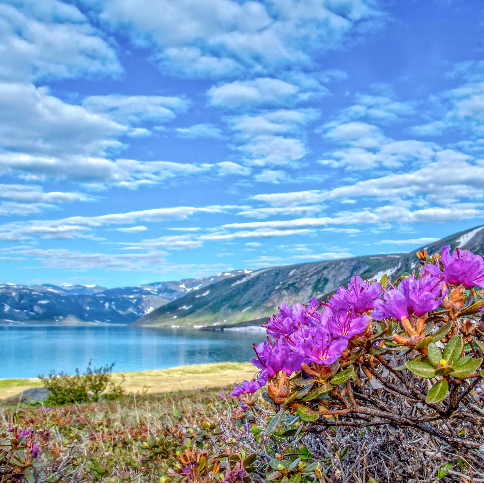 The spectacular and rarely visited coast of Labrador, Canada | Dennis Minty
