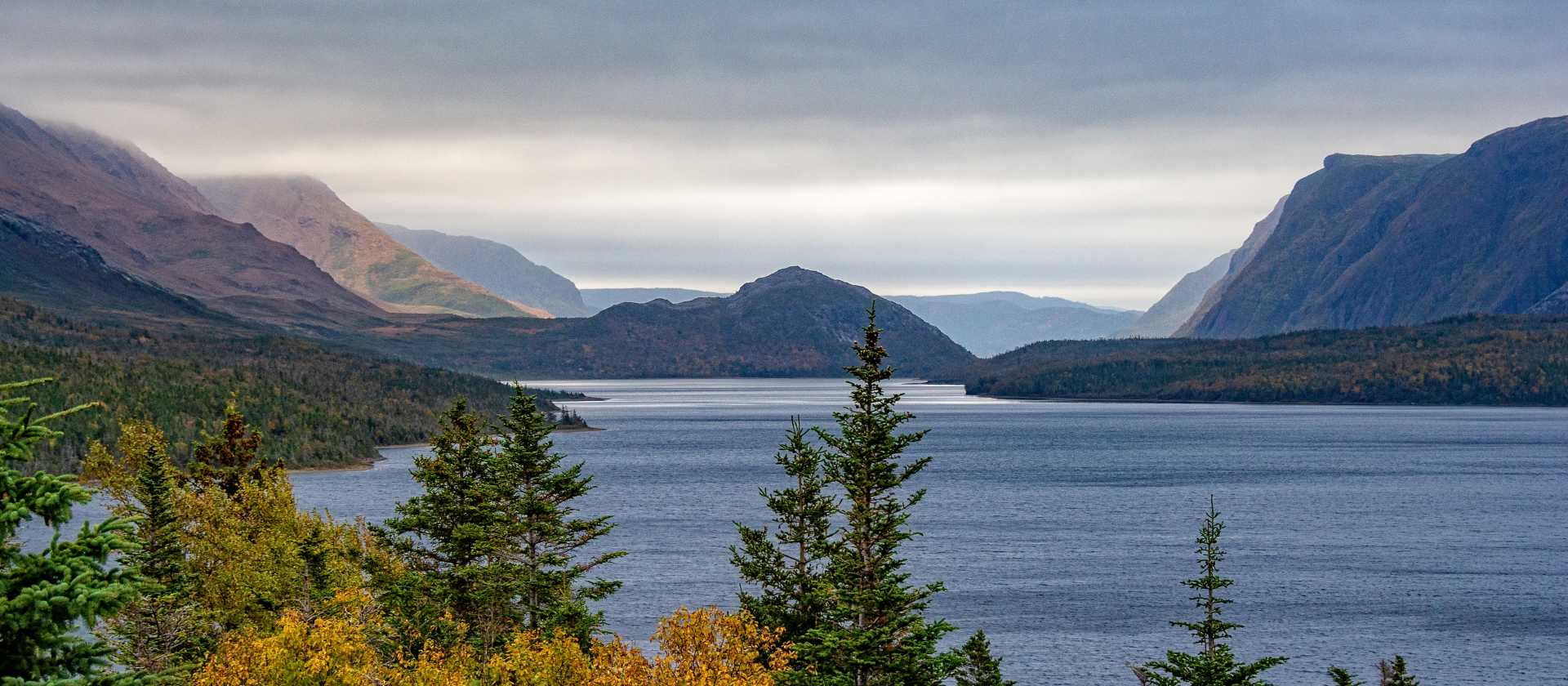 Forested hills frame a fjord-like waterway in Gros Morne National Park | Dennis Minty