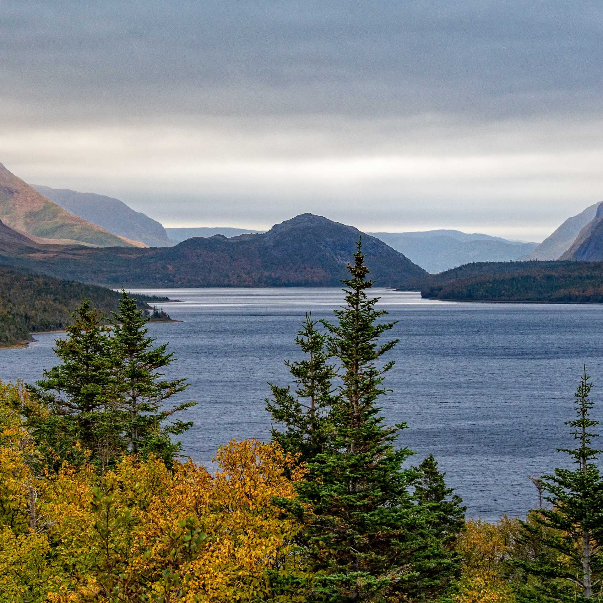 Forested hills frame a fjord-like waterway in Gros Morne National Park | Dennis Minty