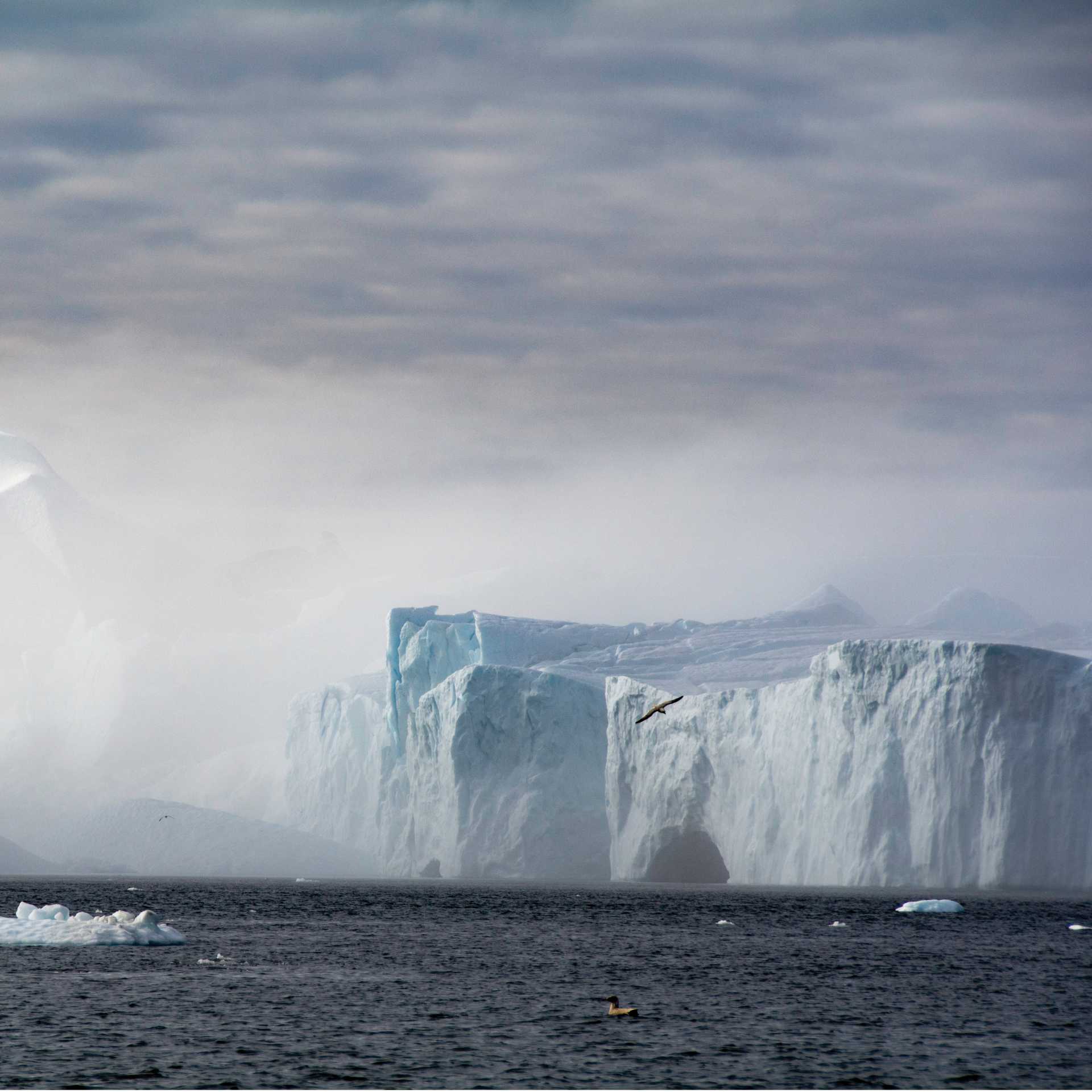 Spectacular tabular icebergs, Northwest passage | Dennis Minty