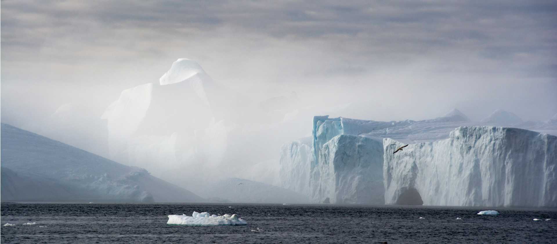 Spectacular tabular icebergs, Northwest passage | Dennis Minty