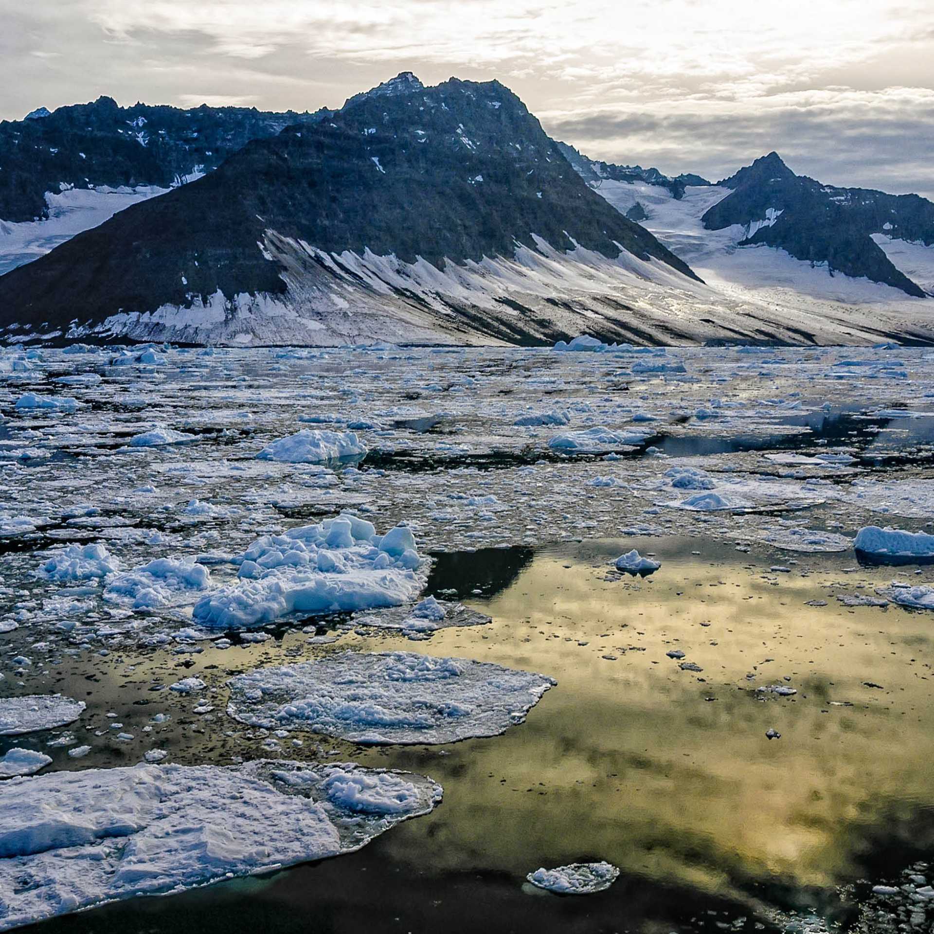Vast wilderness in southern Greenland | Dennis Minty