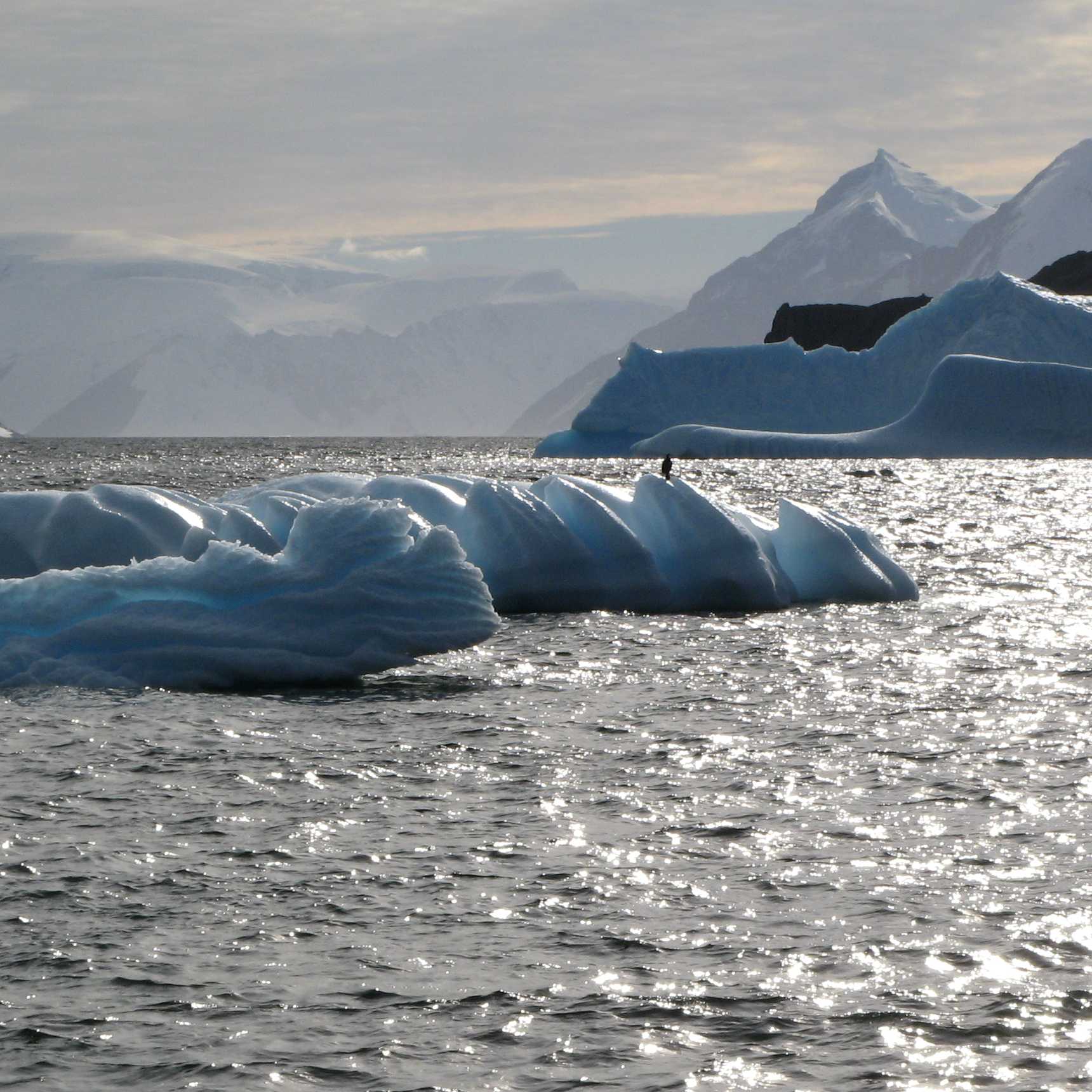 The stunning landscape of the Antarctic Peninsula. | Sarah Higgins