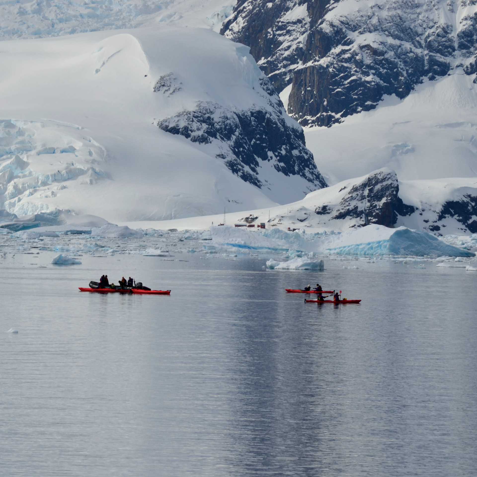 Kayaking through the crystal waters of Antarctica | Pam Drummond