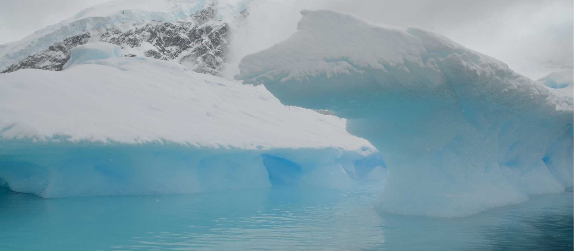 Stunning colours in the waters of Antarctica | Pam Drummond