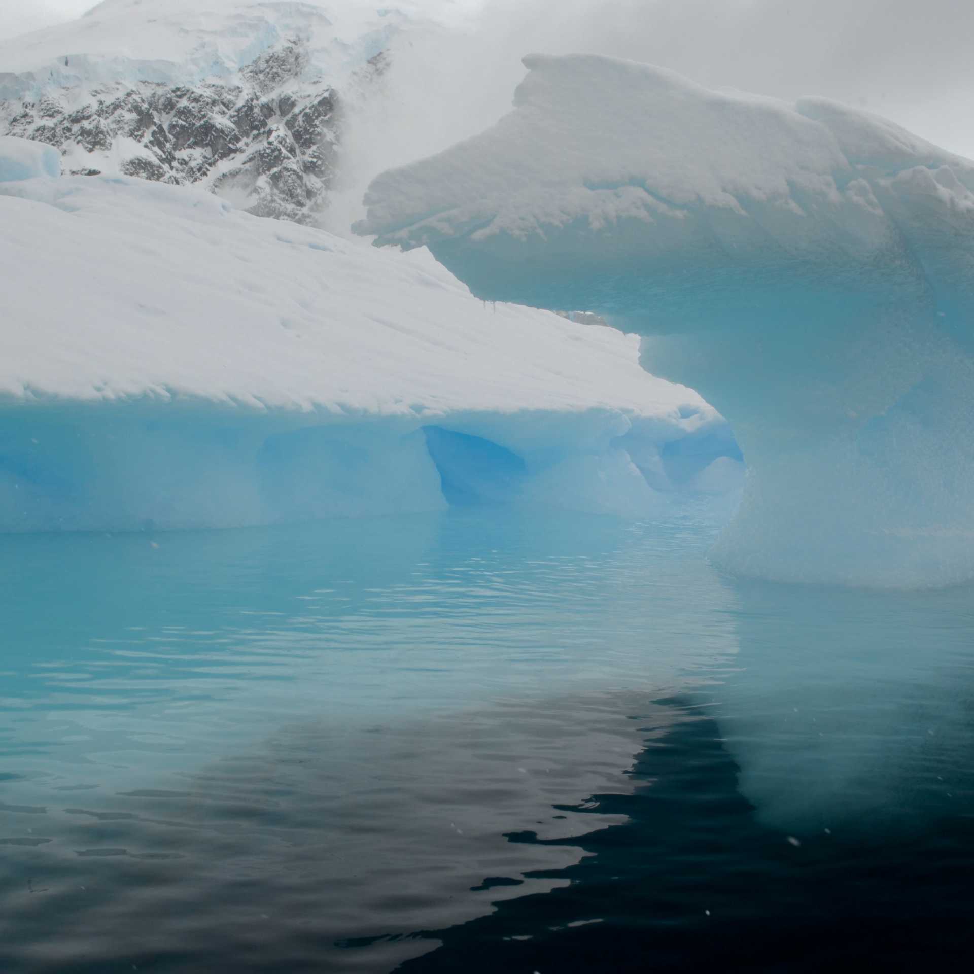 Stunning colours in the waters of Antarctica | Pam Drummond