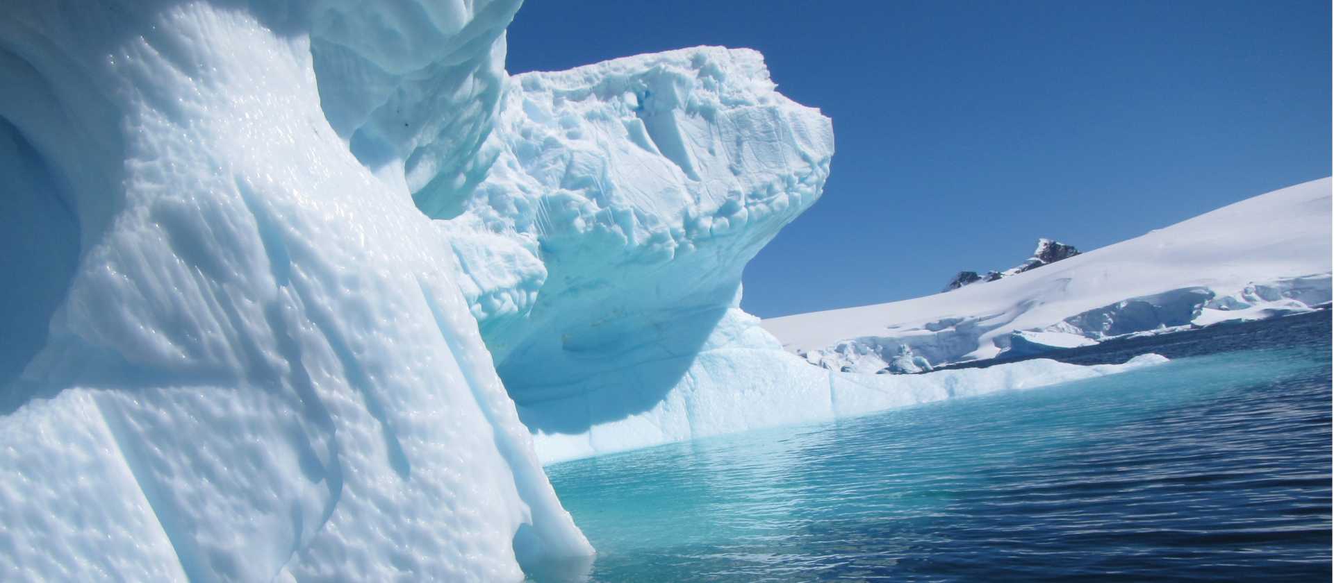 Antarctic icebergs | Learna Cale