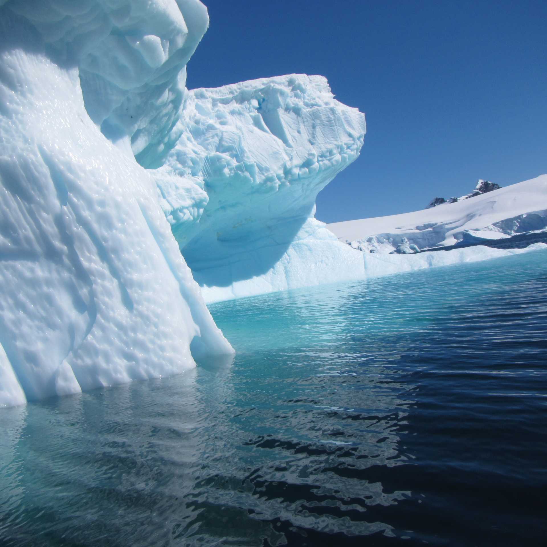 Antarctic icebergs | Learna Cale