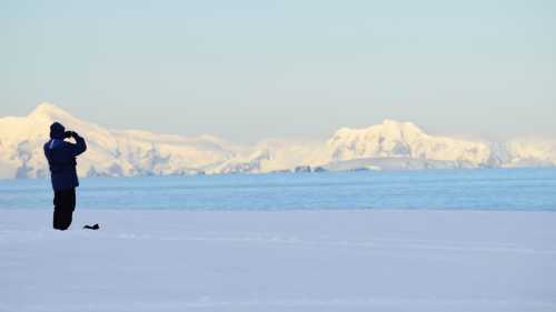The white vastness of Antarctica | Alison Kniha