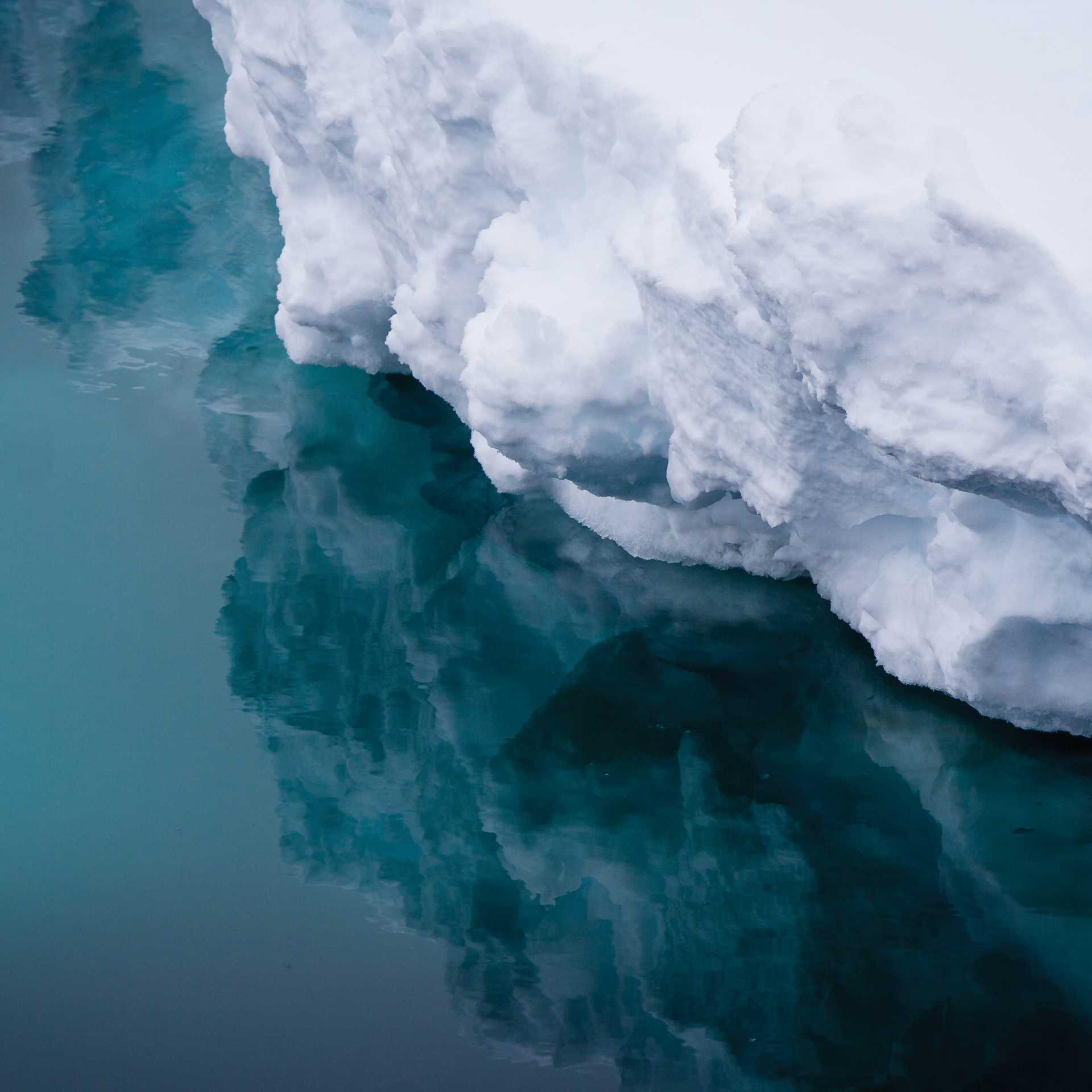 Reflections of an iceberg, Commonwealth Bay, Antarctica | Kylie Jones
