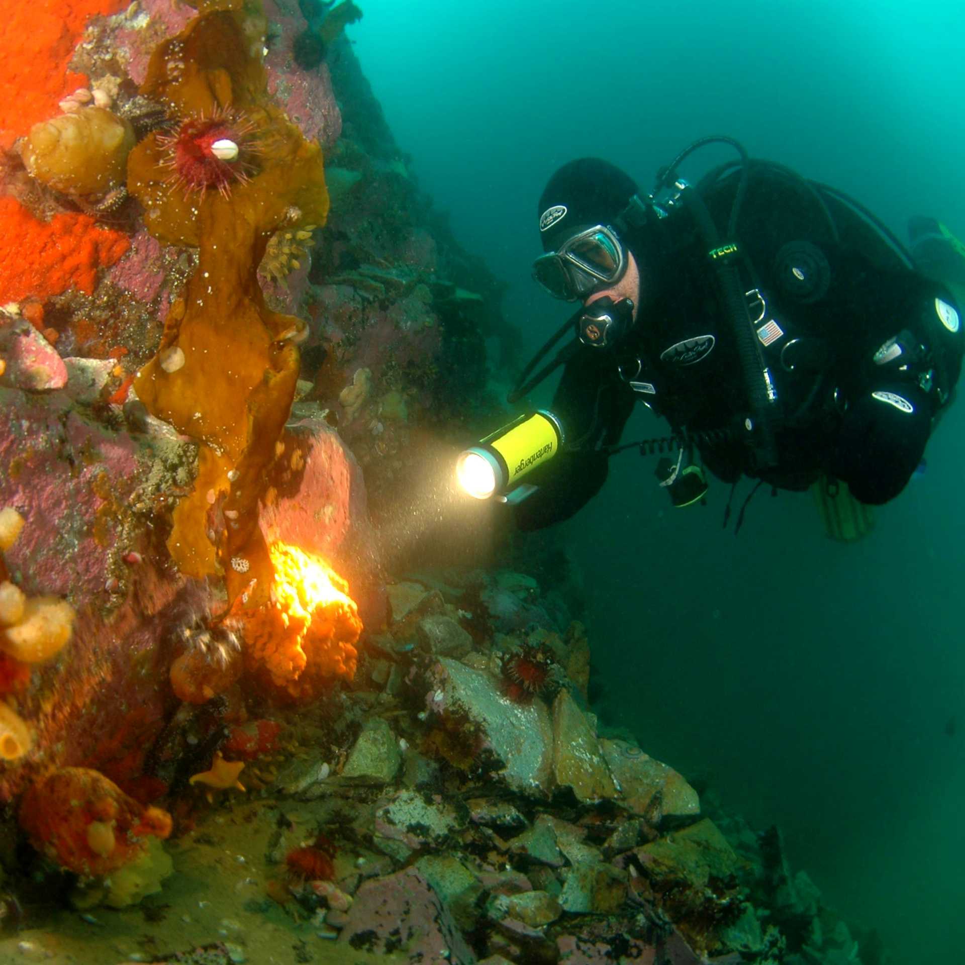 Diving in Antarctica | Carlos Villoch