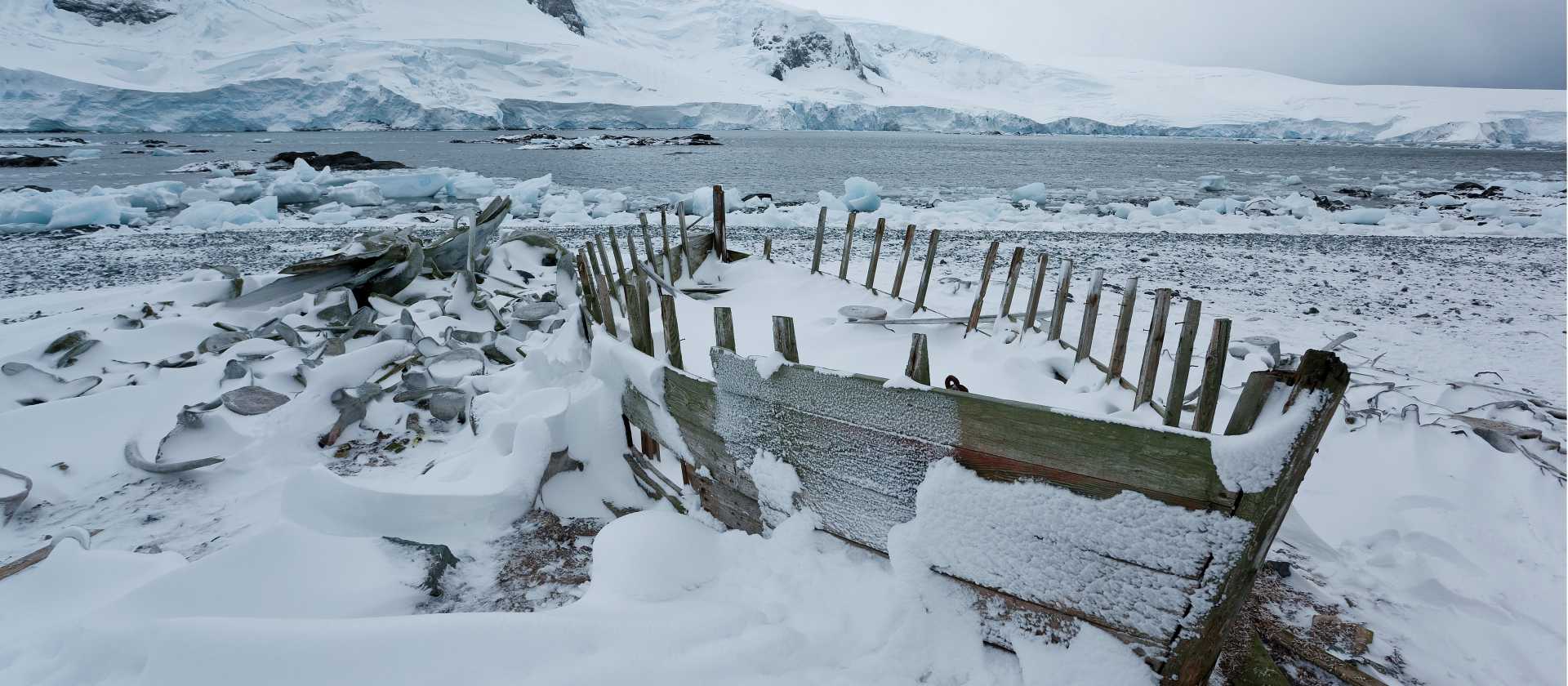 Frozen over on the Antarctic Peninsula | Peter Walton