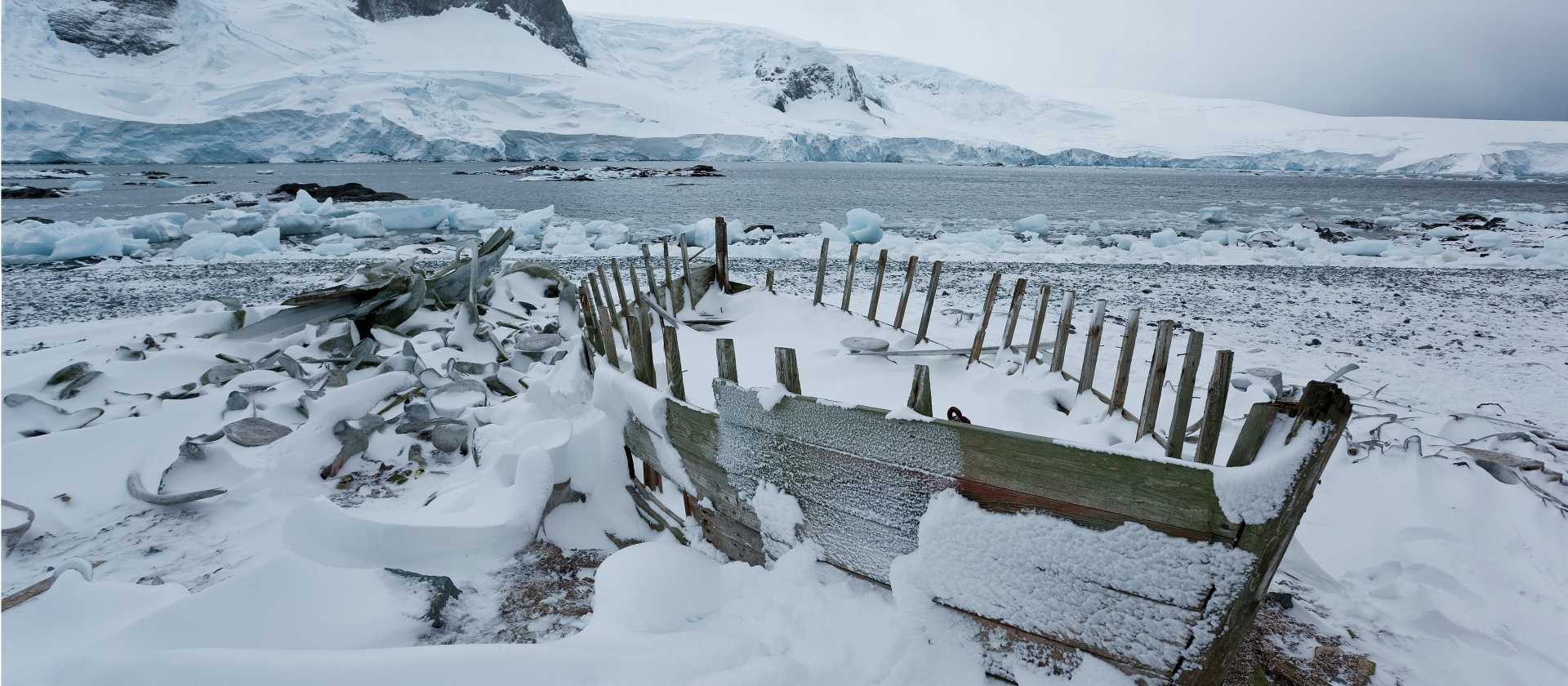 Frozen over on the Antarctic Peninsula | Peter Walton